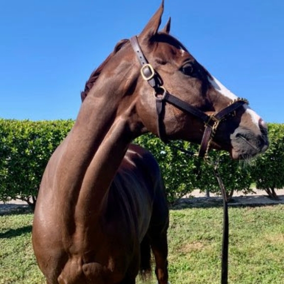 Meet your Posher, Marianne - Picture 8 of 11